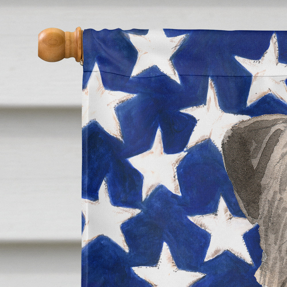 Patriotic USA Irish Wolfhound House Flag 28x40 Porch Sleeve Pole Decorative Outside Yard Banner Artwork Wall Hanging, Polyester