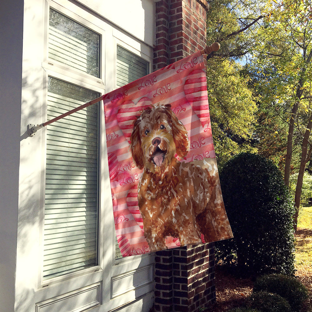 Love a Labradoodle House Flag 28x40 Porch Sleeve Pole Decorative Outside Yard Banner Artwork Wall Hanging, Polyester