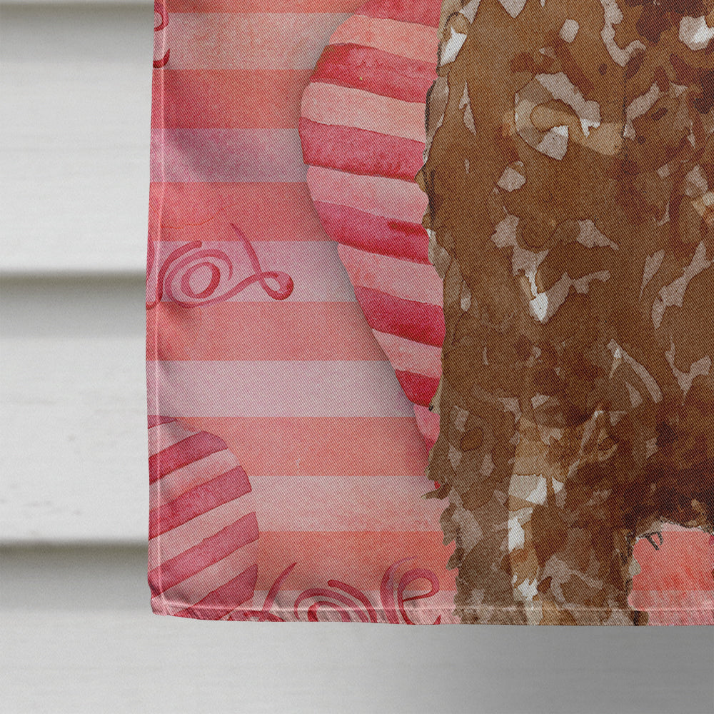 Love a Labradoodle House Flag 28x40 Porch Sleeve Pole Decorative Outside Yard Banner Artwork Wall Hanging, Polyester