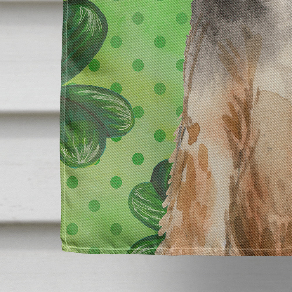 Shamrocks Welsh Terrier House Flag 28x40 Porch Sleeve Pole Decorative Outside Yard Banner Artwork Wall Hanging, Polyester