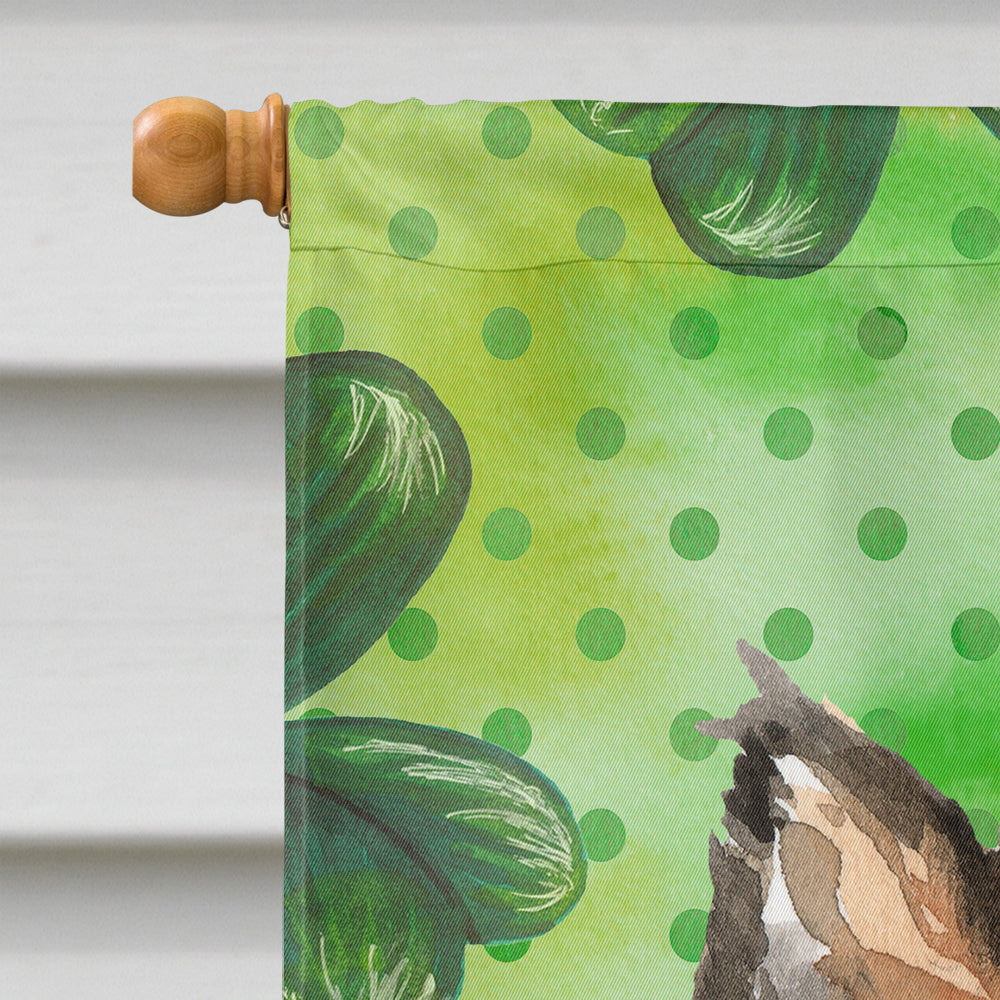 Shamrocks Sheltie House Flag 28x40 Porch Sleeve Pole Decorative Outside Yard Banner Artwork Wall Hanging, Polyester