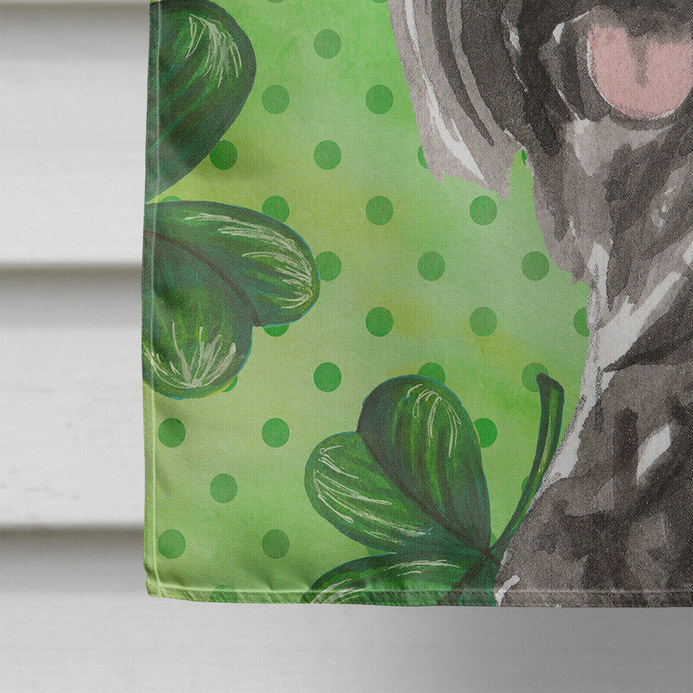 Shamrocks Scottish Terrier House Flag 28x40 Porch Sleeve Pole Decorative Outside Yard Banner Artwork Wall Hanging, Polyester