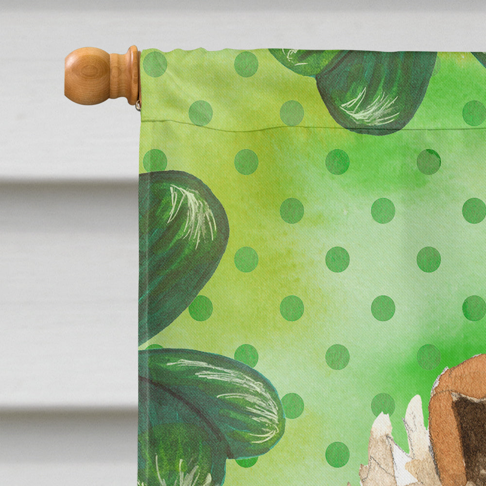 Shamrocks Rough Collie House Flag 28x40 Porch Sleeve Pole Decorative Outside Yard Banner Artwork Wall Hanging, Polyester
