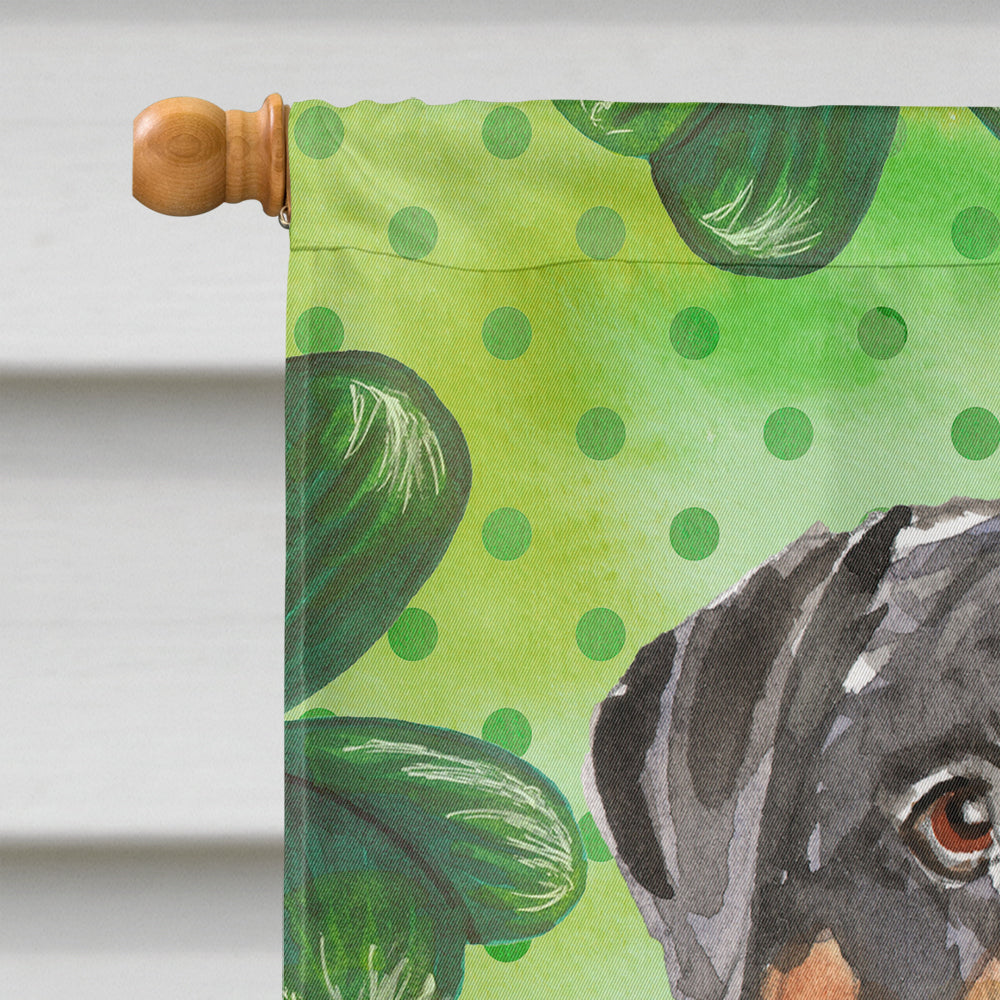 Shamrocks Rottweiler House Flag 28x40 Porch Sleeve Pole Decorative Outside Yard Banner Artwork Wall Hanging, Polyester