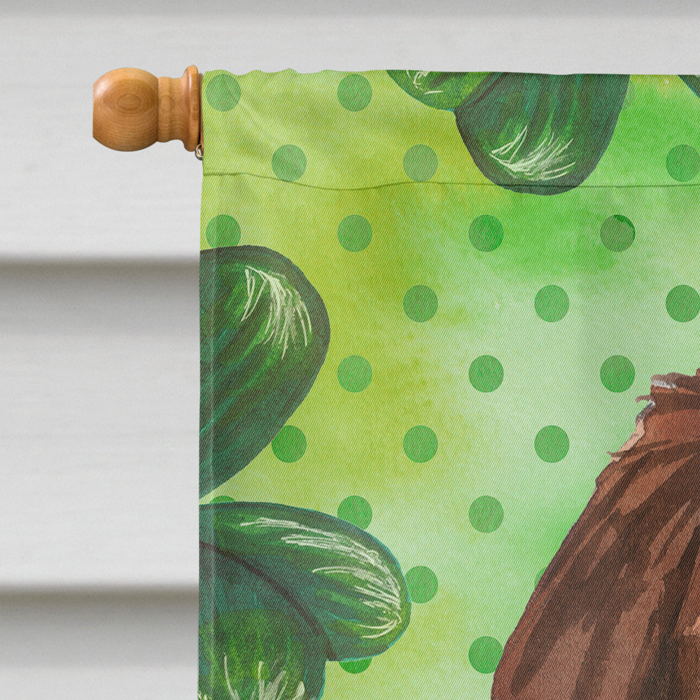 Shamrocks Newfoundland House Flag 28x40 Porch Sleeve Pole Decorative Outside Yard Banner Artwork Wall Hanging, Polyester