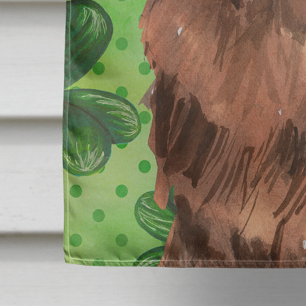 Shamrocks Newfoundland House Flag 28x40 Porch Sleeve Pole Decorative Outside Yard Banner Artwork Wall Hanging, Polyester