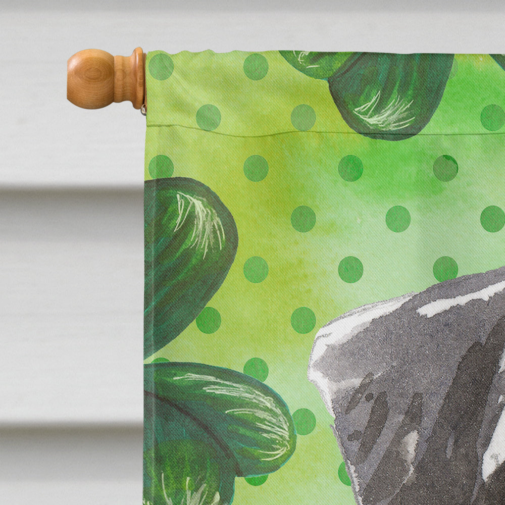 Shamrocks Schnauzer #2 House Flag 28x40 Porch Sleeve Pole Decorative Outside Yard Banner Artwork Wall Hanging, Polyester