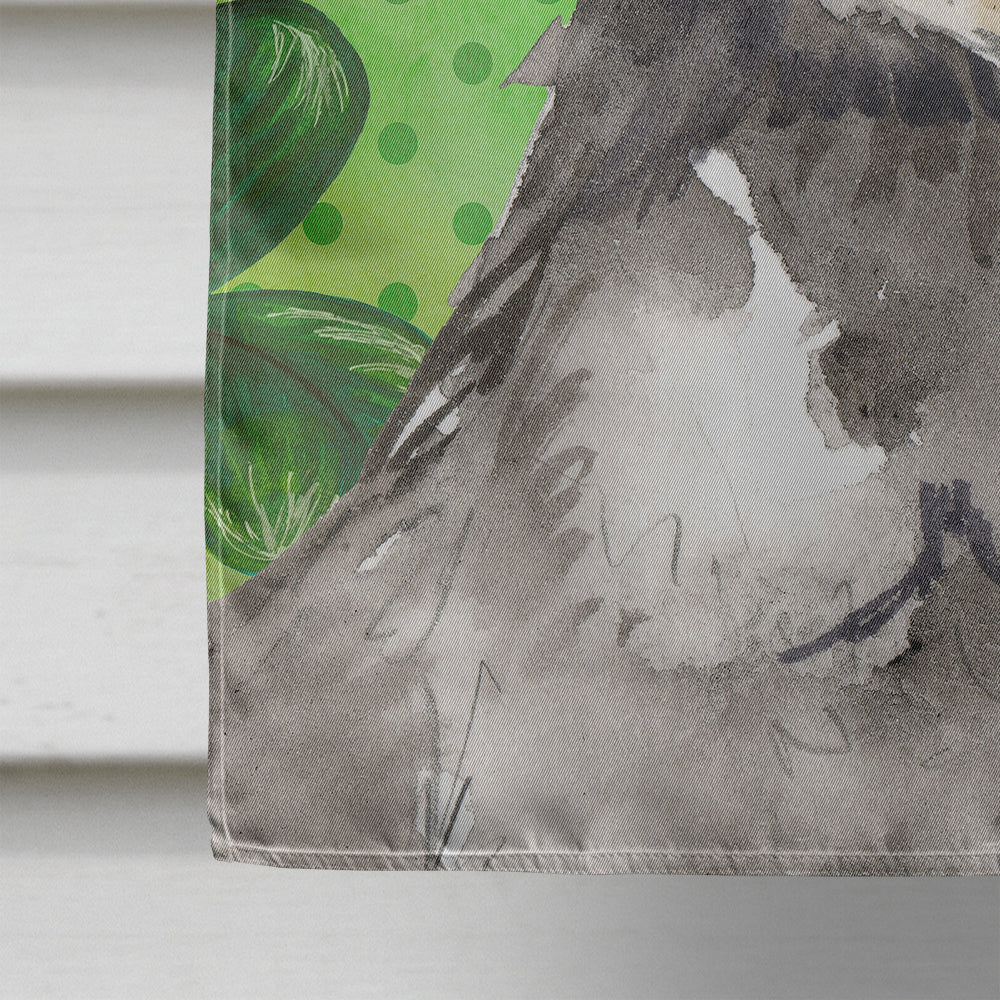 Shamrocks Schnauzer #2 House Flag 28x40 Porch Sleeve Pole Decorative Outside Yard Banner Artwork Wall Hanging, Polyester