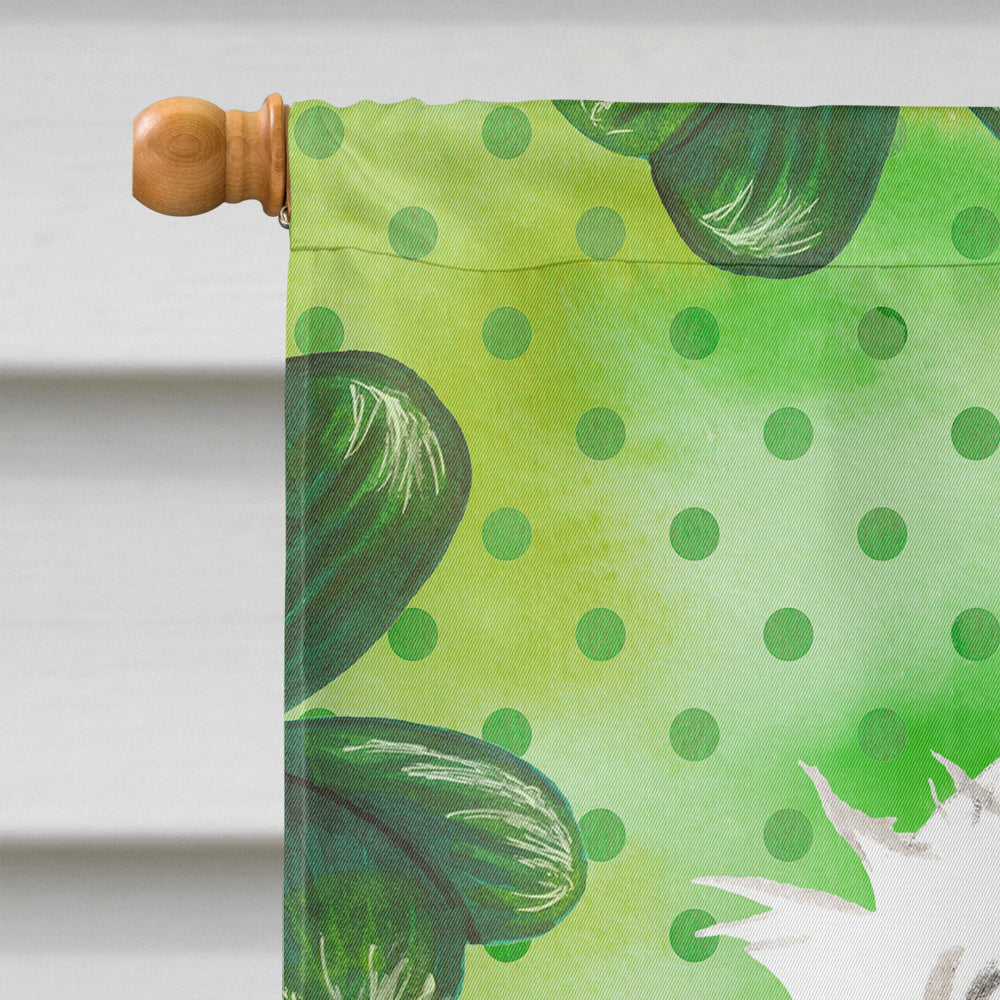 Shamrocks Maltese House Flag 28x40 Porch Sleeve Pole Decorative Outside Yard Banner Artwork Wall Hanging, Polyester