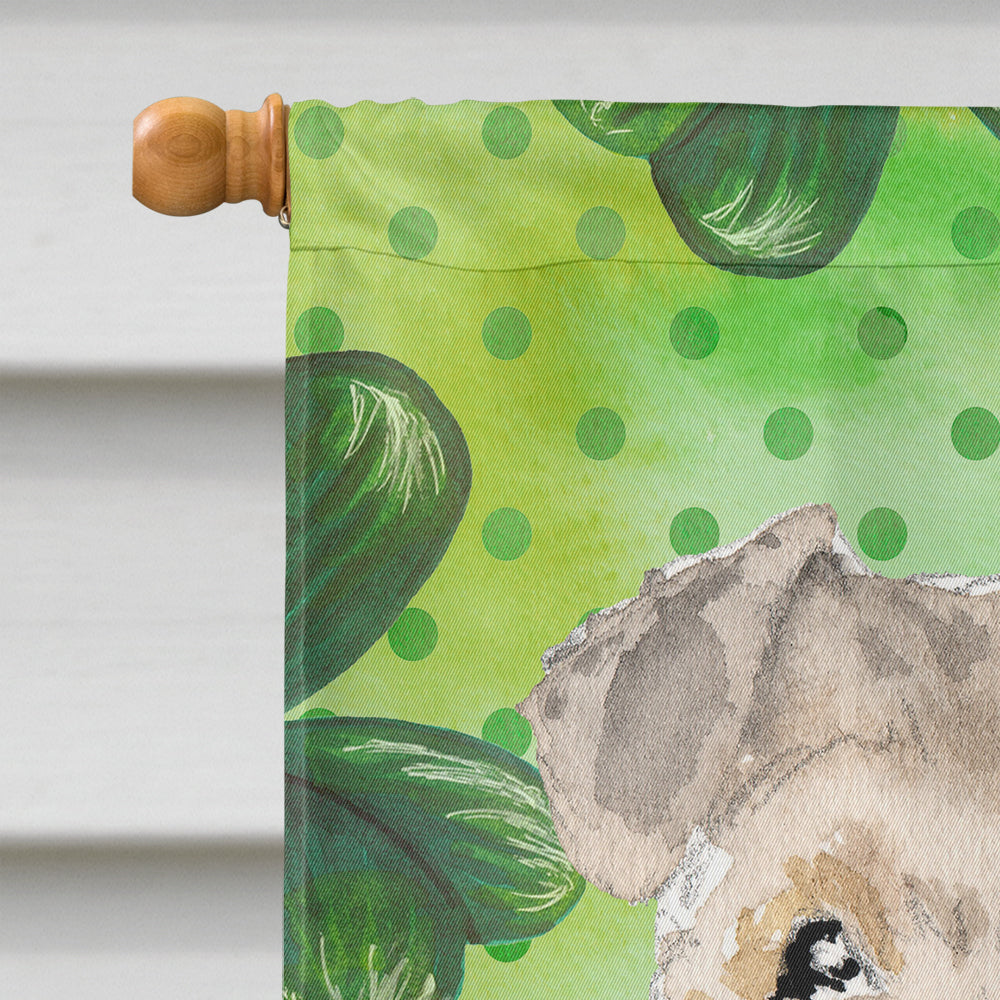 Shamrocks Lakeland Terrier House Flag 28x40 Porch Sleeve Pole Decorative Outside Yard Banner Artwork Wall Hanging, Polyester
