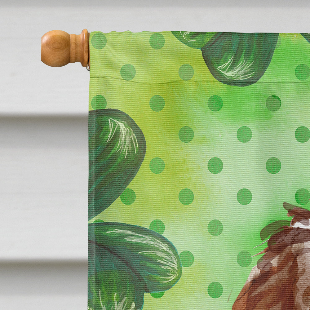 Shamrocks Labradoodle House Flag 28x40 Porch Sleeve Pole Decorative Outside Yard Banner Artwork Wall Hanging, Polyester