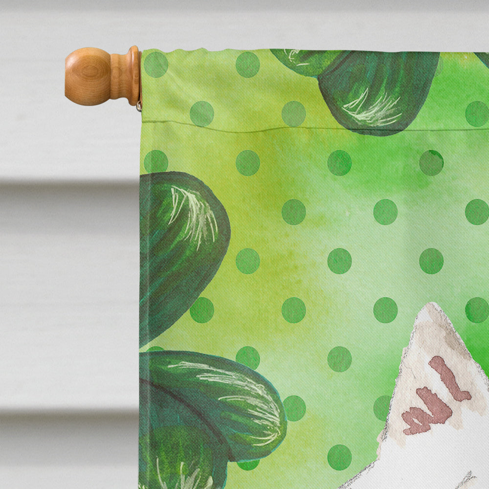 Shamrocks Japanese Spitz House Flag 28x40 Porch Sleeve Pole Decorative Outside Yard Banner Artwork Wall Hanging, Polyester