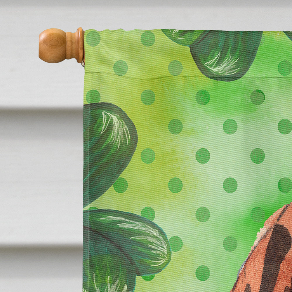 Shamrocks Vizsla House Flag 28x40 Porch Sleeve Pole Decorative Outside Yard Banner Artwork Wall Hanging, Polyester