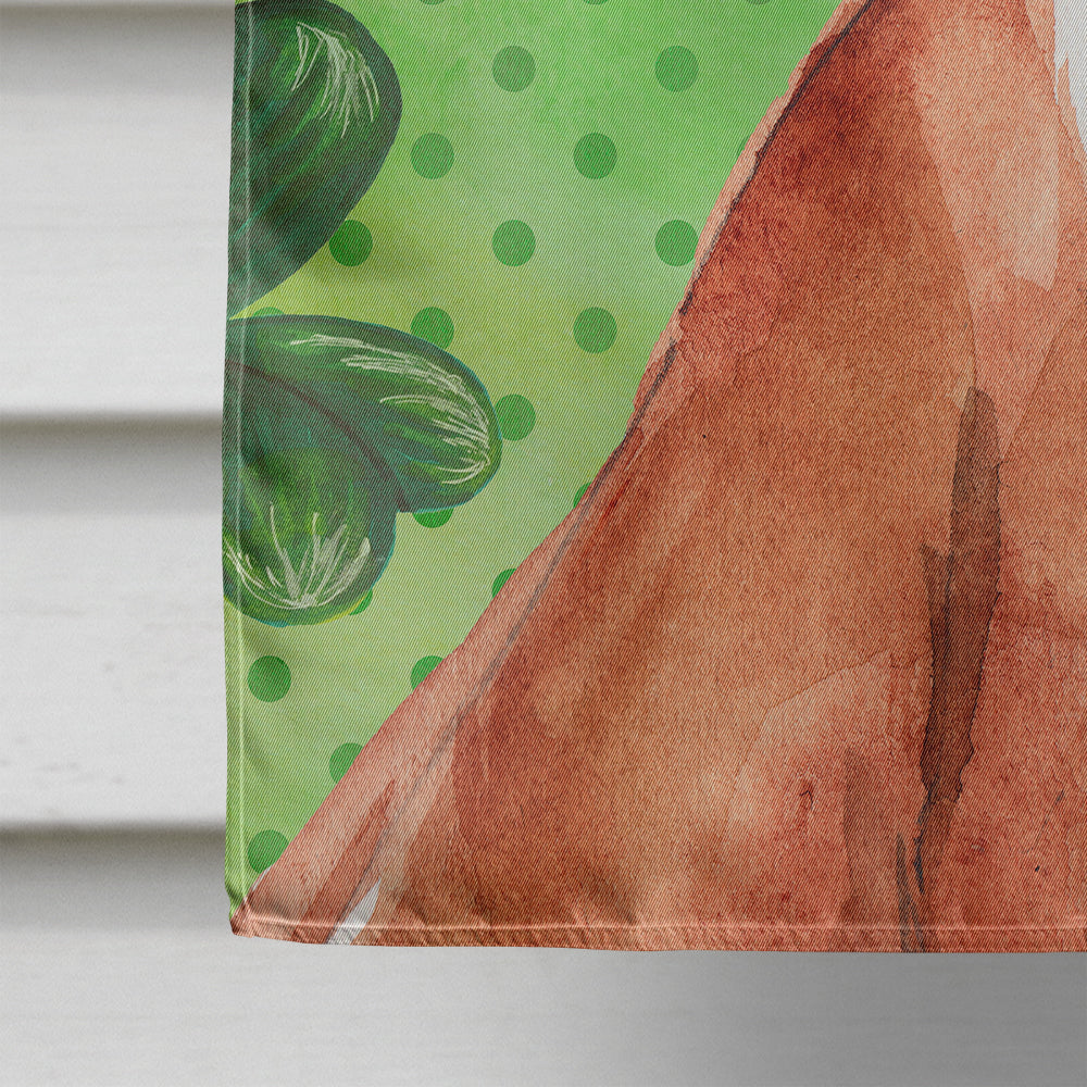 Shamrocks Vizsla House Flag 28x40 Porch Sleeve Pole Decorative Outside Yard Banner Artwork Wall Hanging, Polyester