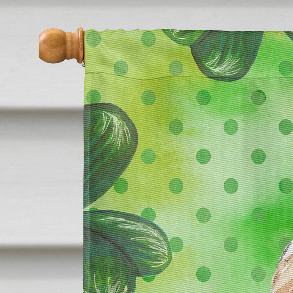 Shamrocks Goldendoodle House Flag 28x40 Porch Sleeve Pole Decorative Outside Yard Banner Artwork Wall Hanging, Polyester