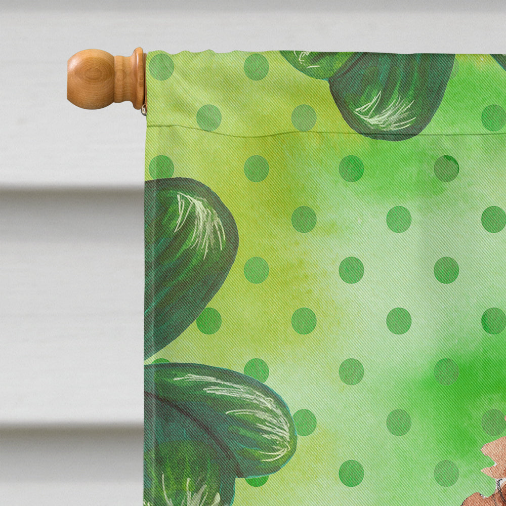Shamrocks Cavapoo House Flag 28x40 Porch Sleeve Pole Decorative Outside Yard Banner Artwork Wall Hanging, Polyester