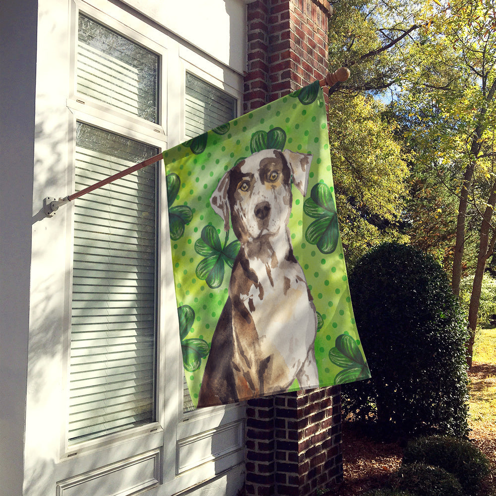 Shamrocks Catahoula Leopard Dog House Flag 28x40 Porch Sleeve Pole Decorative Outside Yard Banner Artwork Wall Hanging, Polyester