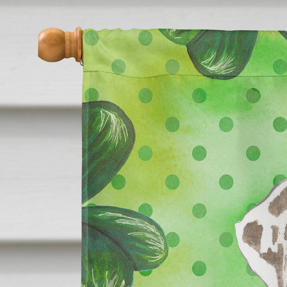 Shamrocks Catahoula Leopard Dog House Flag 28x40 Porch Sleeve Pole Decorative Outside Yard Banner Artwork Wall Hanging, Polyester