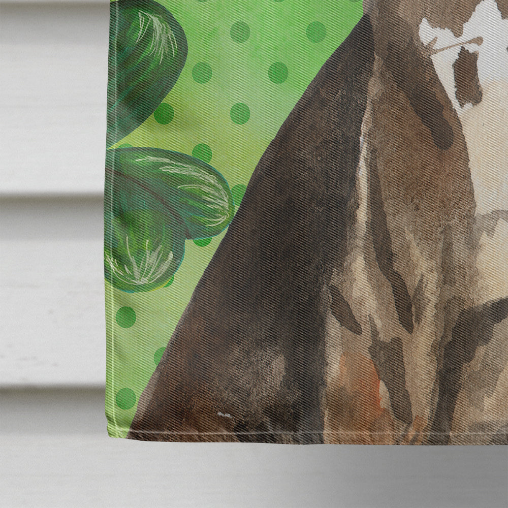 Shamrocks Catahoula Leopard Dog House Flag 28x40 Porch Sleeve Pole Decorative Outside Yard Banner Artwork Wall Hanging, Polyester