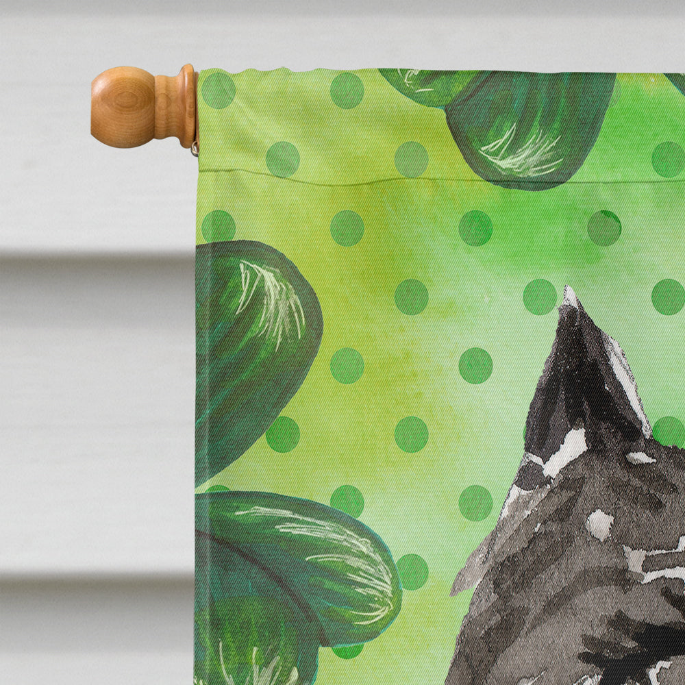Shamrocks Bouvier des Flandres House Flag 28x40 Porch Sleeve Pole Decorative Outside Yard Banner Artwork Wall Hanging, Polyester