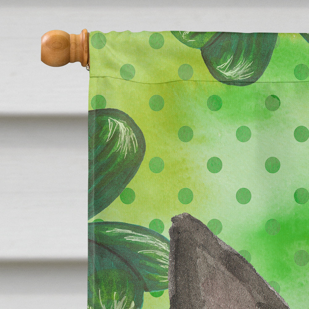 Shamrocks Boston Terrier House Flag 28x40 Porch Sleeve Pole Decorative Outside Yard Banner Artwork Wall Hanging, Polyester