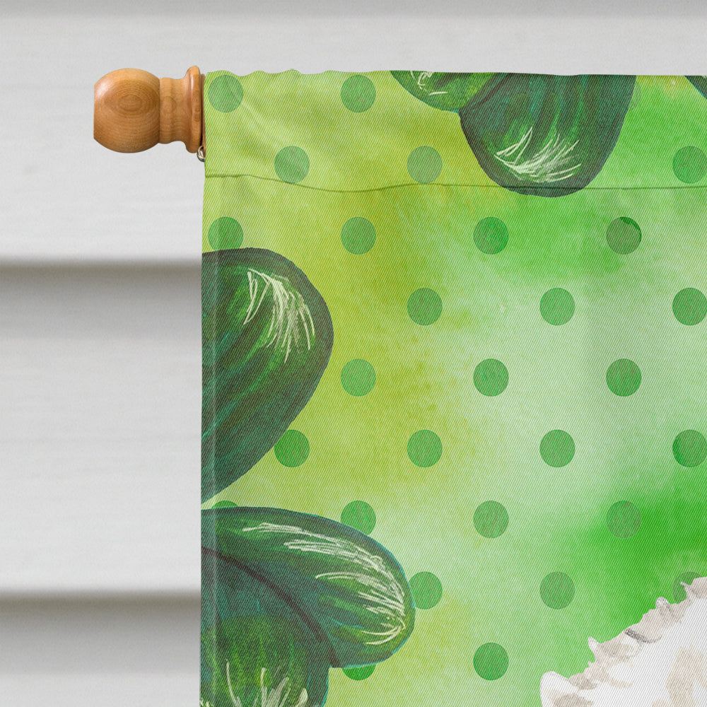 Shamrocks Bichon Frise House Flag 28x40 Porch Sleeve Pole Decorative Outside Yard Banner Artwork Wall Hanging, Polyester