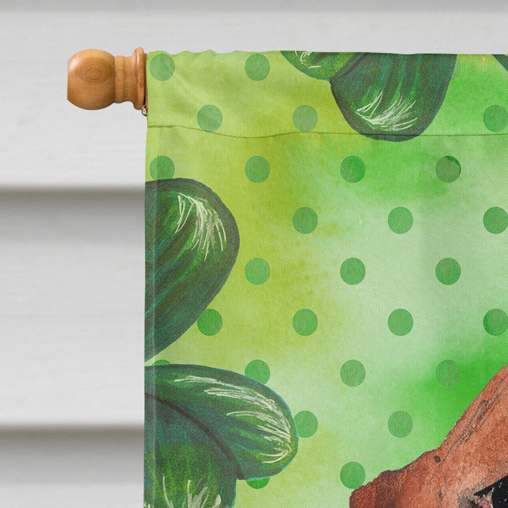 Shamrocks Basset Hound House Flag 28x40 Porch Sleeve Pole Decorative Outside Yard Banner Artwork Wall Hanging, Polyester