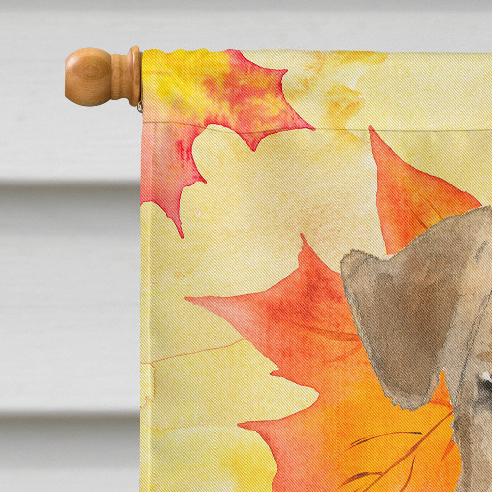 Fall Leaves Welsh Terrier House Flag 28x40 Porch Sleeve Pole Decorative Outside Yard Banner Artwork Wall Hanging, Polyester