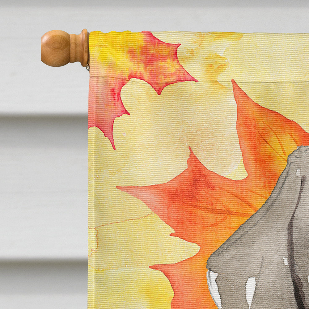 Fall Leaves Weimaraner House Flag 28x40 Porch Sleeve Pole Decorative Outside Yard Banner Artwork Wall Hanging, Polyester