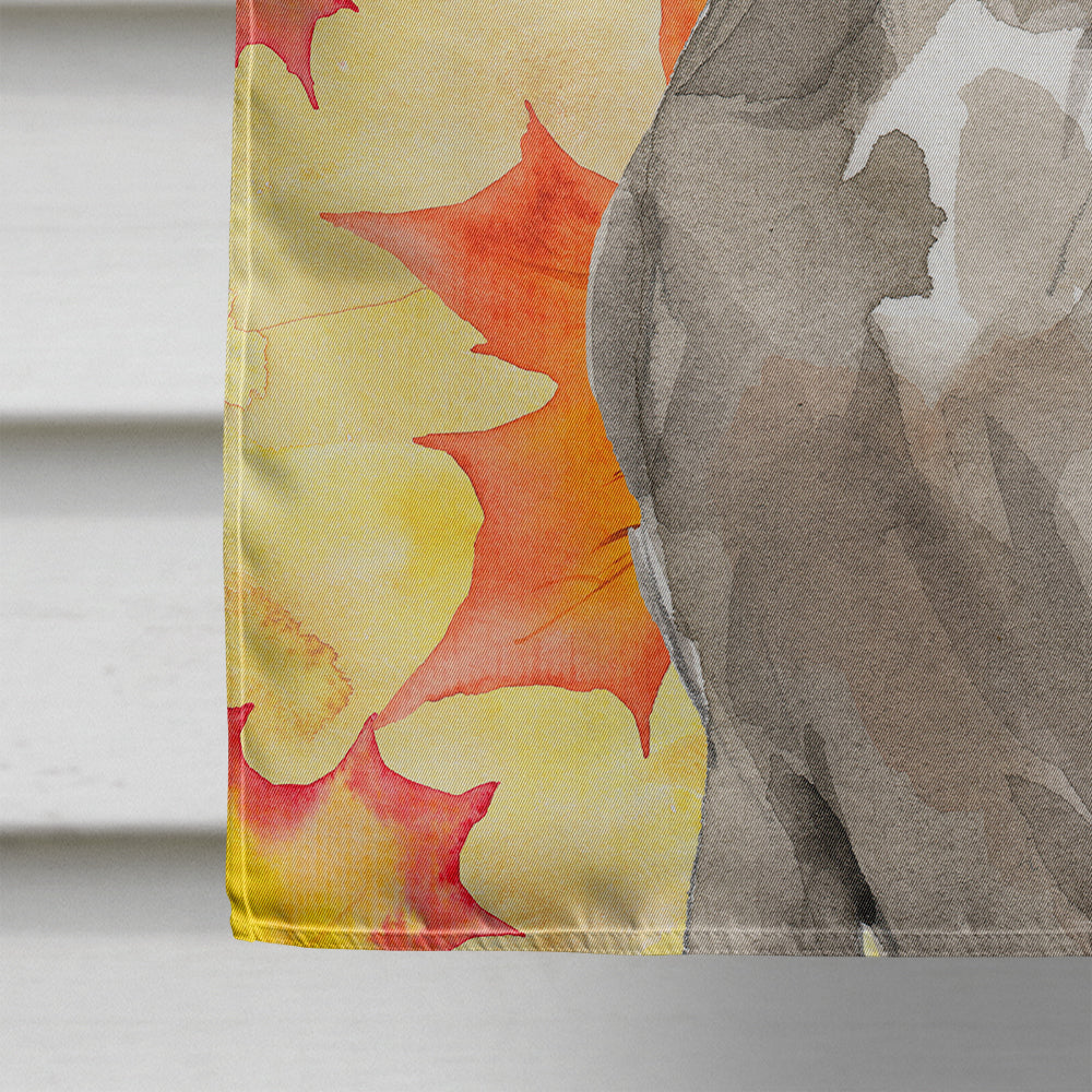 Fall Leaves Weimaraner House Flag 28x40 Porch Sleeve Pole Decorative Outside Yard Banner Artwork Wall Hanging, Polyester