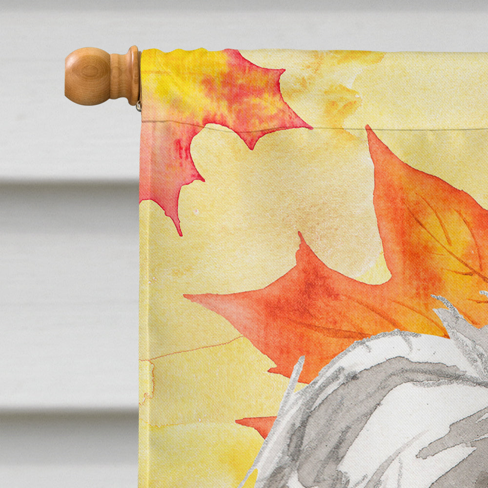 Fall Leaves Shih Tzu Puppy House Flag 28x40 Porch Sleeve Pole Decorative Outside Yard Banner Artwork Wall Hanging, Polyester