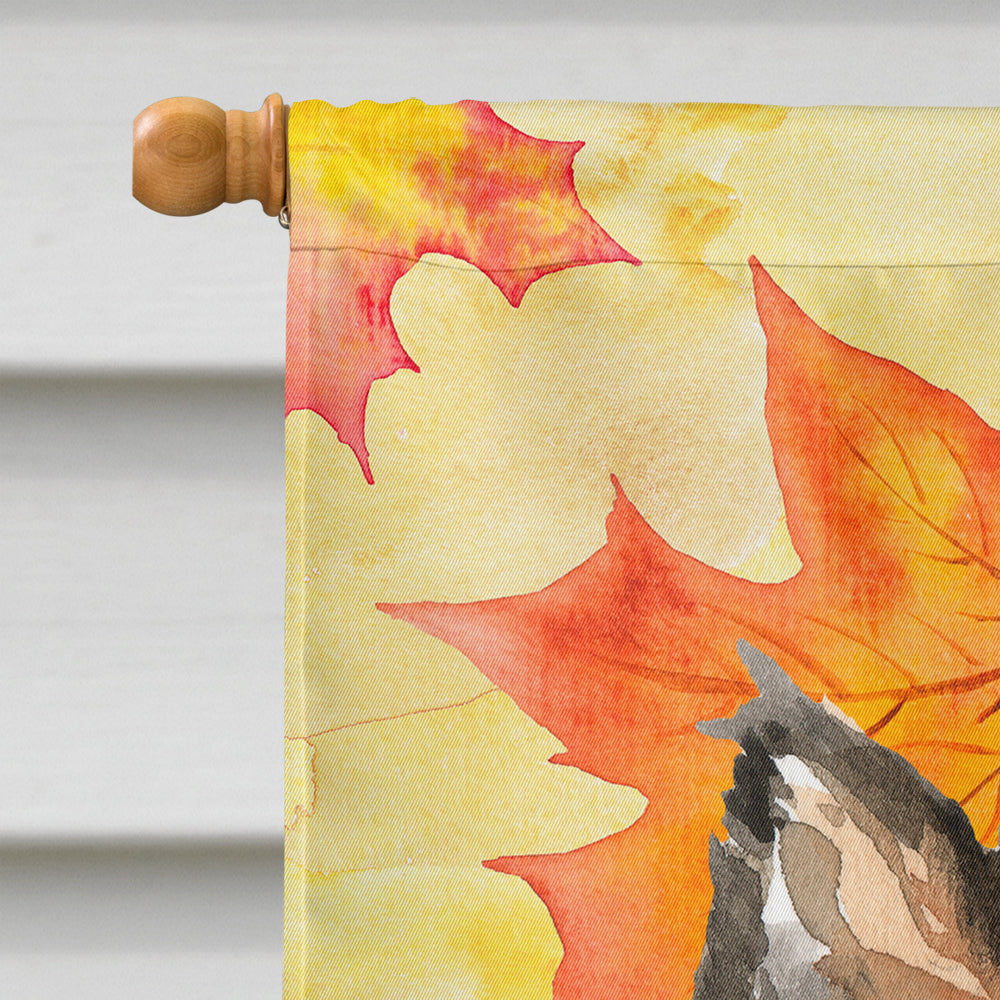 Fall Leaves Sheltie House Flag 28x40 Porch Sleeve Pole Decorative Outside Yard Banner Artwork Wall Hanging, Polyester