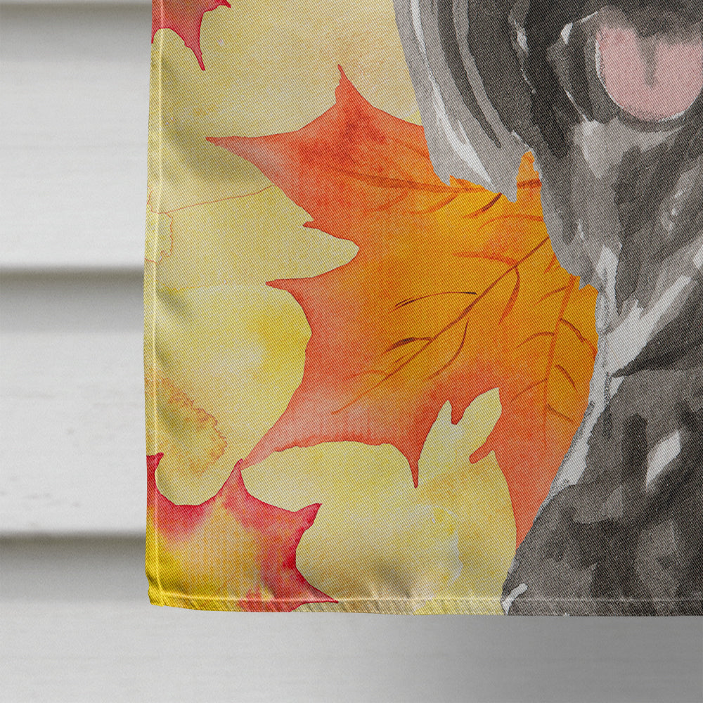 Fall Leaves Scottish Terrier House Flag 28x40 Porch Sleeve Pole Decorative Outside Yard Banner Artwork Wall Hanging, Polyester