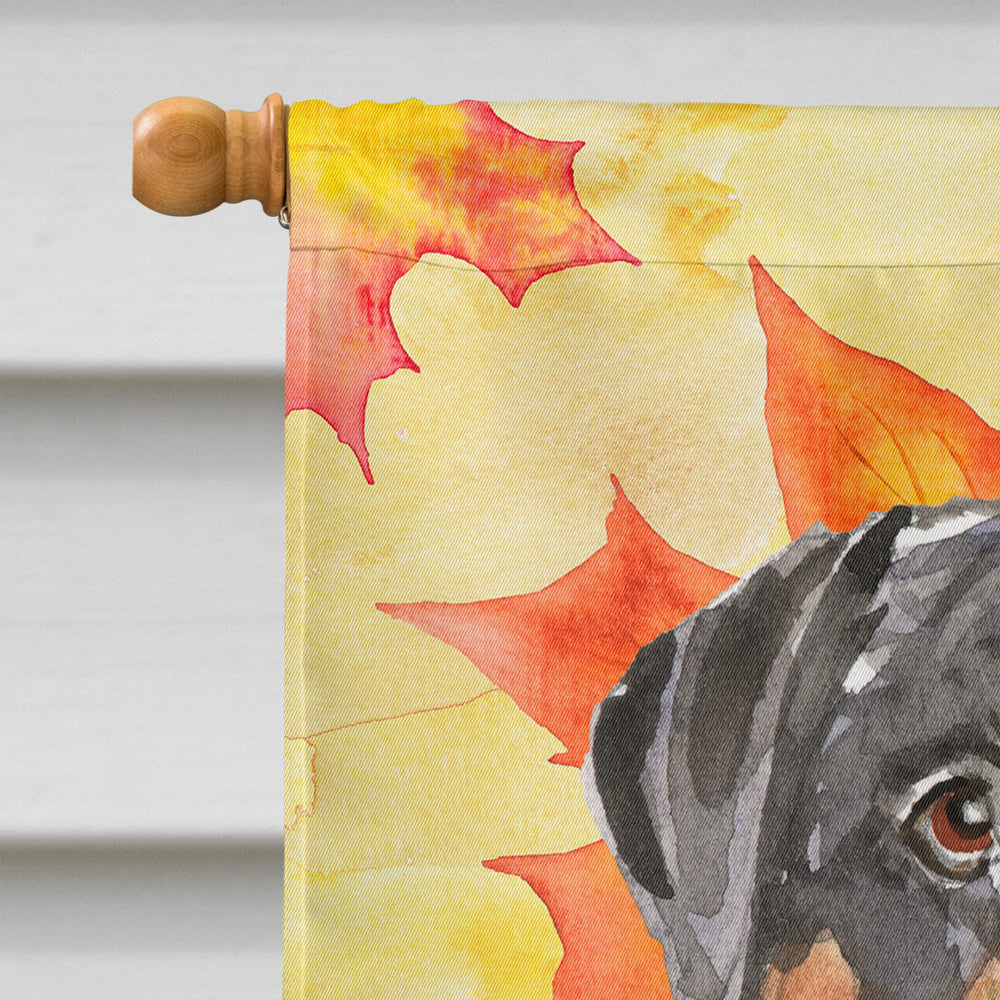 Fall Leaves Rottweiler House Flag 28x40 Porch Sleeve Pole Decorative Outside Yard Banner Artwork Wall Hanging, Polyester