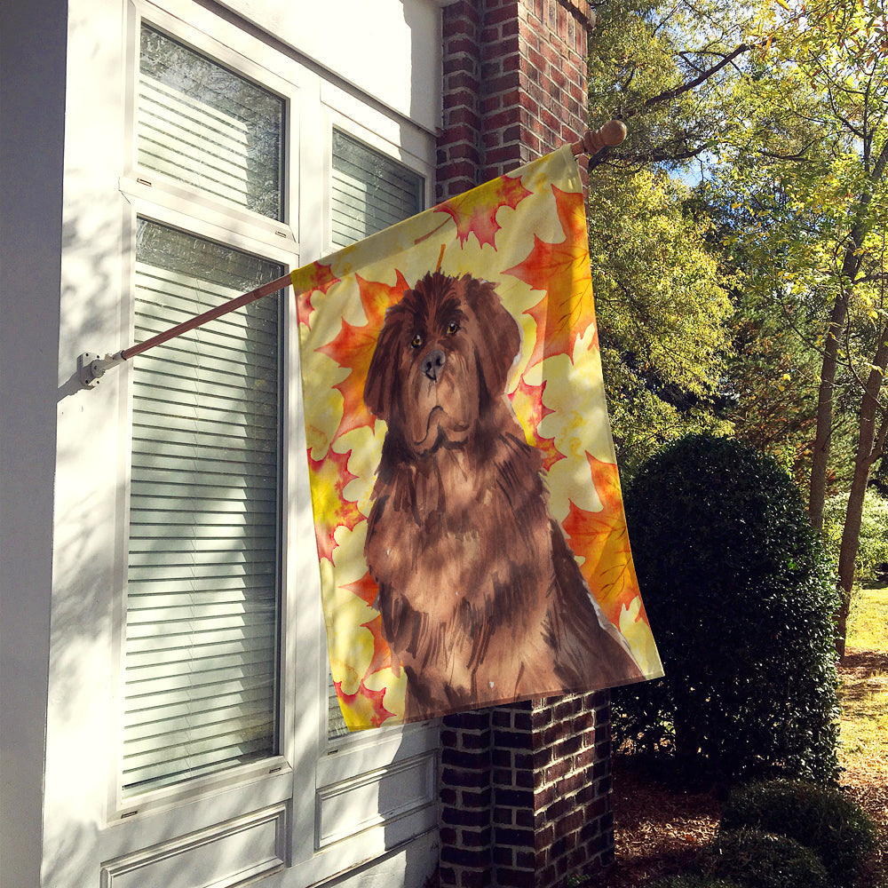 Fall Leaves Newfoundland House Flag 28x40 Porch Sleeve Pole Decorative Outside Yard Banner Artwork Wall Hanging, Polyester