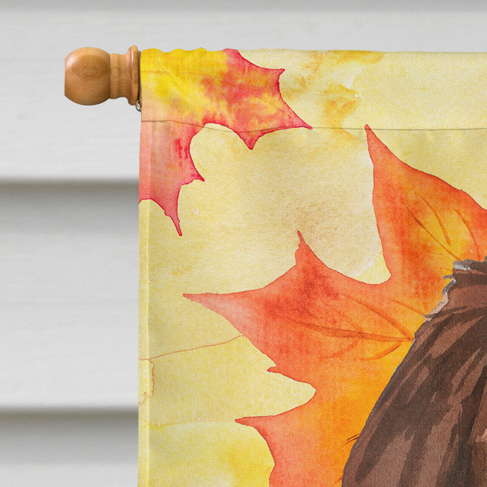 Fall Leaves Newfoundland House Flag 28x40 Porch Sleeve Pole Decorative Outside Yard Banner Artwork Wall Hanging, Polyester
