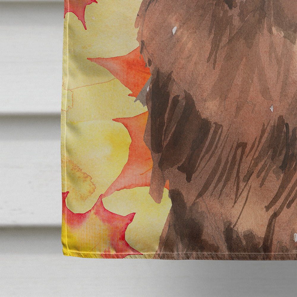 Fall Leaves Newfoundland House Flag 28x40 Porch Sleeve Pole Decorative Outside Yard Banner Artwork Wall Hanging, Polyester