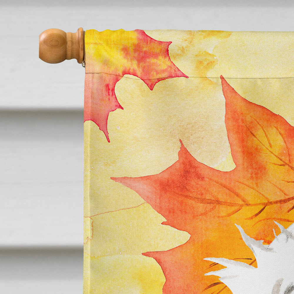 Fall Leaves Maltese House Flag 28x40 Porch Sleeve Pole Decorative Outside Yard Banner Artwork Wall Hanging, Polyester