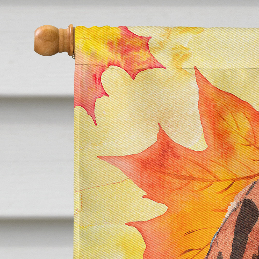 Fall Leaves Vizsla House Flag 28x40 Porch Sleeve Pole Decorative Outside Yard Banner Artwork Wall Hanging, Polyester