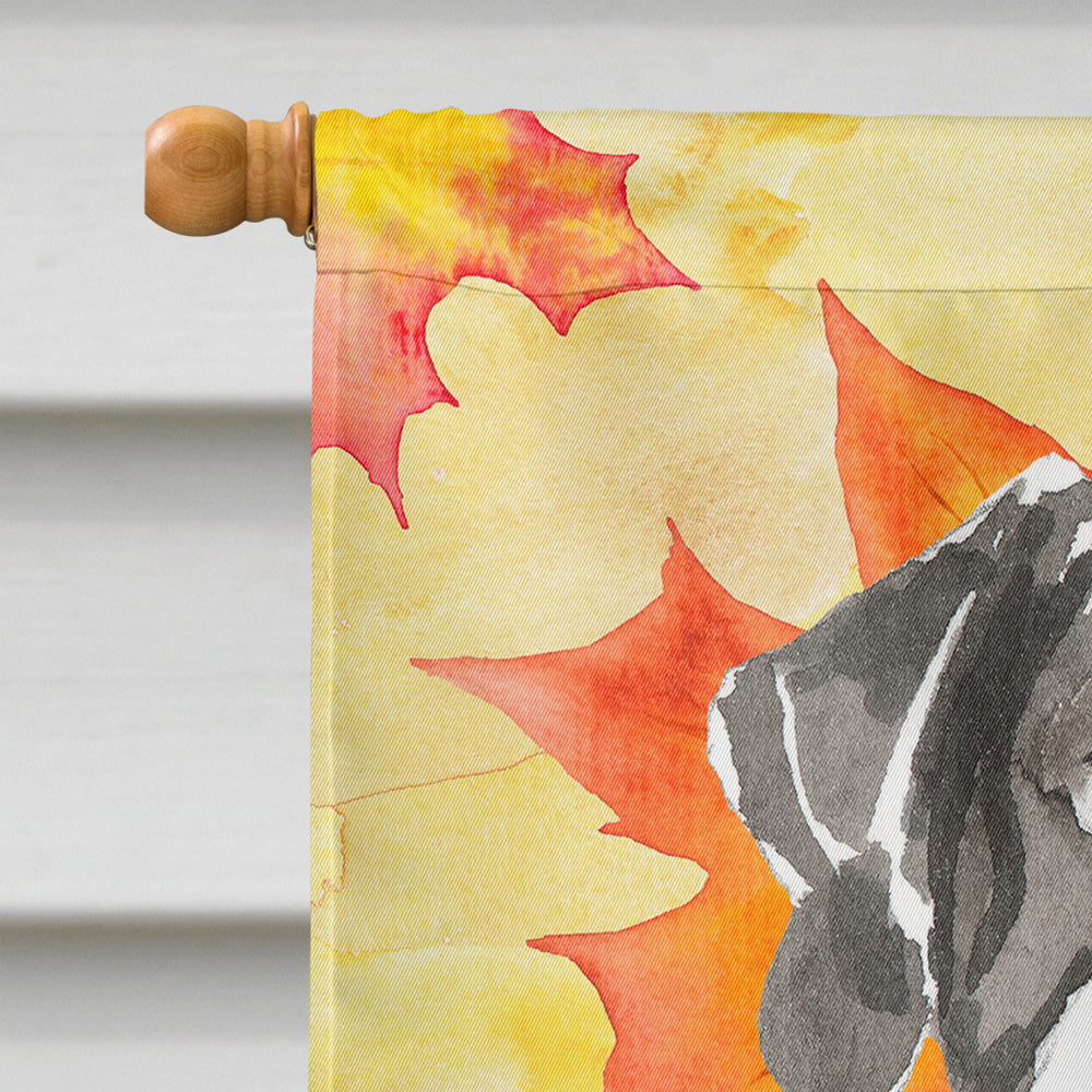 Fall Leaves English Pointer House Flag 28x40 Porch Sleeve Pole Decorative Outside Yard Banner Artwork Wall Hanging, Polyester