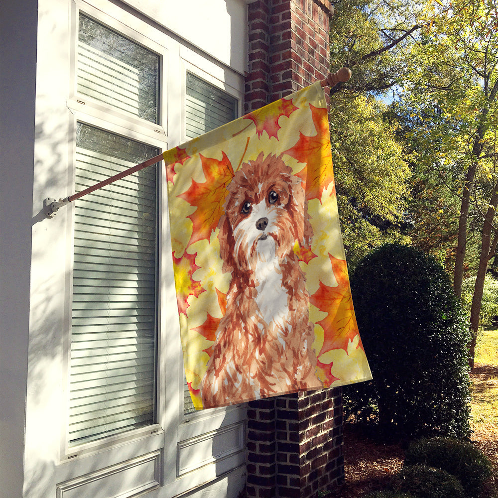 Fall Leaves Cavapoo House Flag 28x40 Porch Sleeve Pole Decorative Outside Yard Banner Artwork Wall Hanging, Polyester