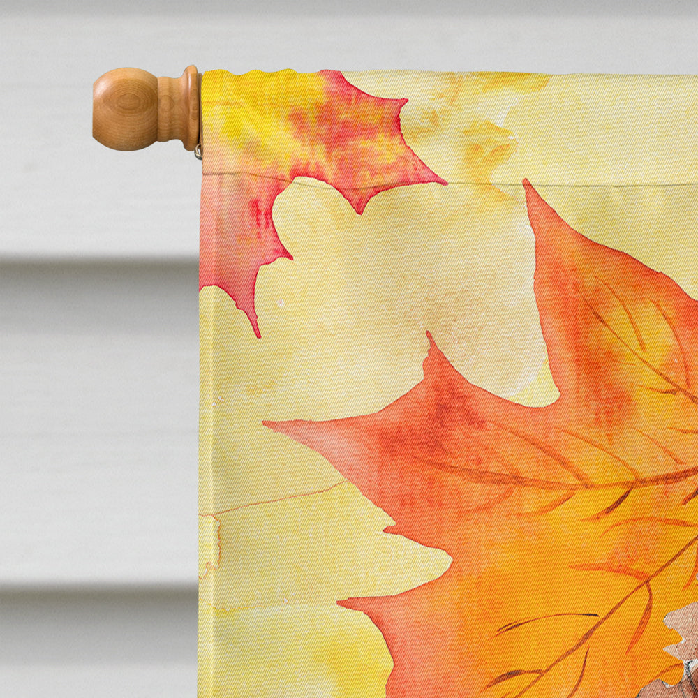 Fall Leaves Cavapoo House Flag 28x40 Porch Sleeve Pole Decorative Outside Yard Banner Artwork Wall Hanging, Polyester