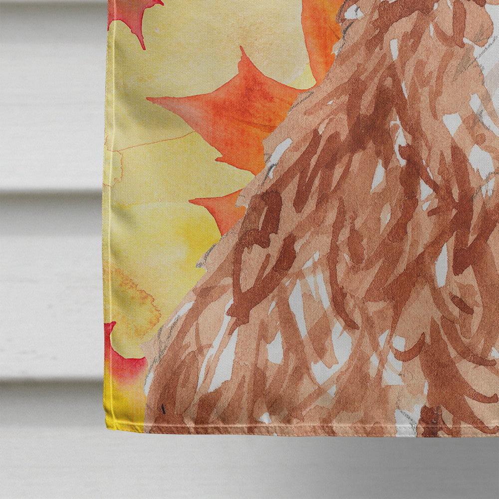 Fall Leaves Cavapoo House Flag 28x40 Porch Sleeve Pole Decorative Outside Yard Banner Artwork Wall Hanging, Polyester