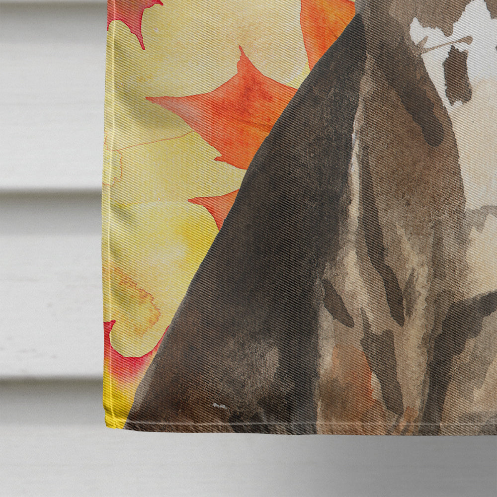 Fall Leaves Catahoula Leopard Dog House Flag 28x40 Porch Sleeve Pole Decorative Outside Yard Banner Artwork Wall Hanging, Polyester