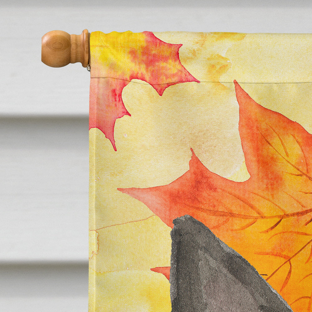 Fall Leaves Boston Terrier House Flag 28x40 Porch Sleeve Pole Decorative Outside Yard Banner Artwork Wall Hanging, Polyester