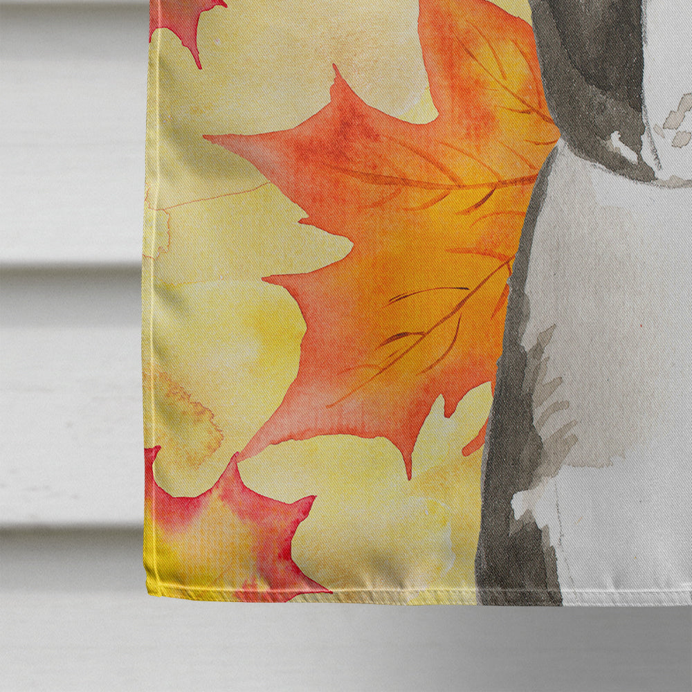 Fall Leaves Boston Terrier House Flag 28x40 Porch Sleeve Pole Decorative Outside Yard Banner Artwork Wall Hanging, Polyester