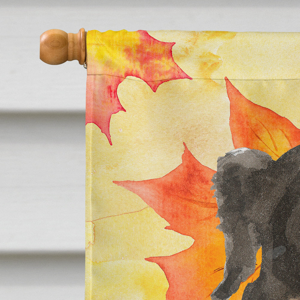 Fall Leaves Bernese Mountain Dog House Flag 28x40 Porch Sleeve Pole Decorative Outside Yard Banner Artwork Wall Hanging, Polyester