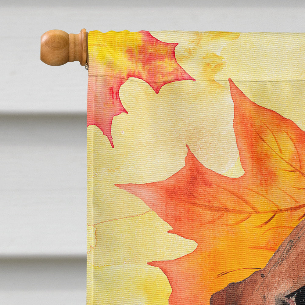 Fall Leaves Basset Hound House Flag 28x40 Porch Sleeve Pole Decorative Outside Yard Banner Artwork Wall Hanging, Polyester