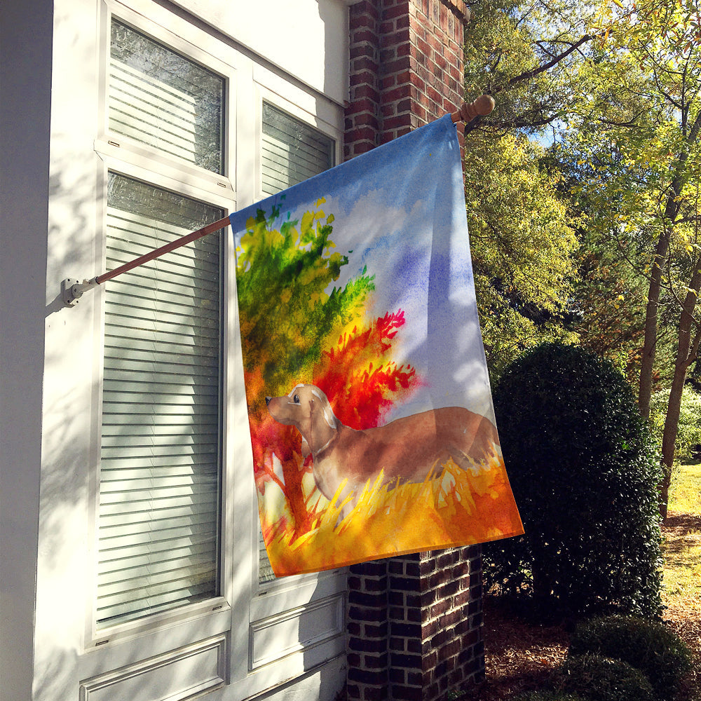 Fall Red Dachshund House Flag 28x40 Porch Sleeve Pole Decorative Outside Yard Banner Artwork Wall Hanging, Polyester