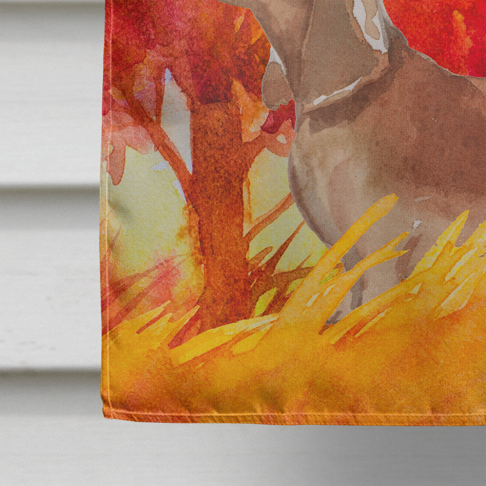 Fall Red Dachshund House Flag 28x40 Porch Sleeve Pole Decorative Outside Yard Banner Artwork Wall Hanging, Polyester